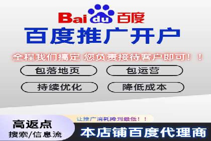 SEM广告投放的精准定位与优化案例